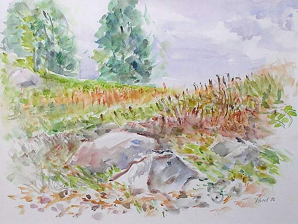 dorota_baer_aquarelle_pologne_cimochowizna