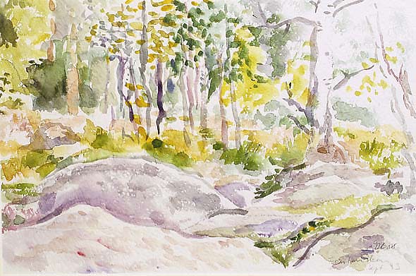 Dorota_Baer_Aquarelle_France_Fontainebleau