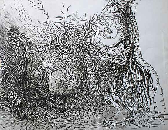 Dorota_Baer_dessin_eperdument