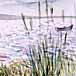 dorota baer_aquarelle_pologne
